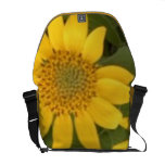 Balsam Root Messenger Bags