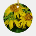 Balsamroot Ornements