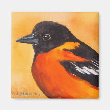 Baltimore Oriole Bird Magnet