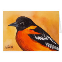 Baltimore Oriole Bird Note Card