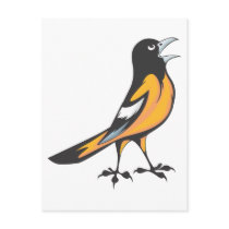 Baltimore Oriole Bird Post Card