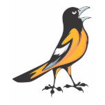 Baltimore Oriole Bird t-shirts