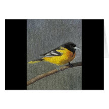 Baltimore Oriole Cards