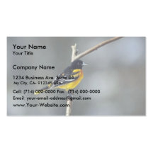 Baltimore Oriole Cartes De Visite Personnelles