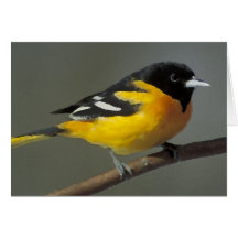 Baltimore Oriole Logo (palette) Greeting Cards