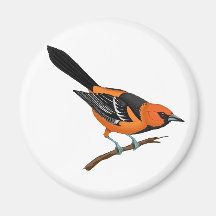 Baltimore Oriole on a Twig Fridge Magnet