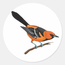 Baltimore Oriole on a Twig Stickers