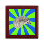 Bam! Hedgehog box ver.1 Trinket Box