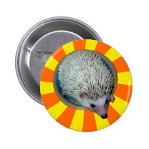 BAM! Hedgehog Button