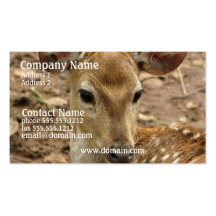 Bambi Deer Business Card