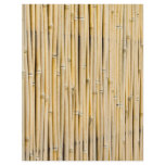Bamboo background flyer design