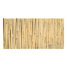 Bamboo background photo greeting card