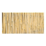 Bamboo background photo greeting card