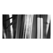 Bamboo closeup photo card template