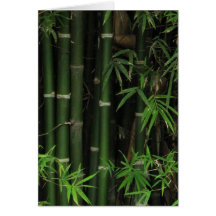 Bamboo ... Fao Rai, Nong Khai, Isaan, Thailand Greeting Cards