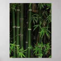Bamboo ... Fao Rai, Nong Khai, Isaan, Thailand Poster