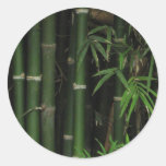 Bamboo ... Fao Rai, Nong Khai, Isaan, Thailand Round Stickers