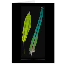 bamboo-feather greeting card