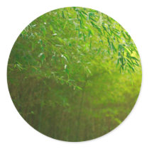 Bamboo forest stickers