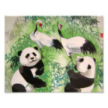bamboo orchestra photo
