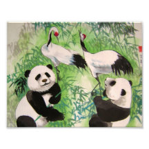 bamboo orchestra photo