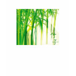 bamboo picture shirt