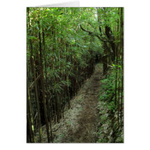 Bamboo Trail Greeting Cards