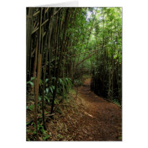Bamboo Trail Greeting Cards