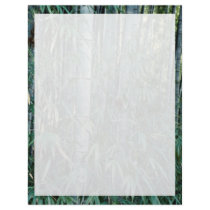 Bamboo trees, Kumamoto, Japan Letterhead Design