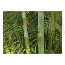 bamboo tropical note card