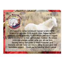 Ban Horse Slaughter and Save Wild Horses/ Burros Post Card