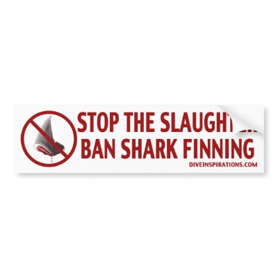 Ban Shark Finning Bumper Sticker by diveinspirations