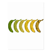 Banana Evolution Post Card