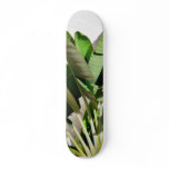 Banana Green Plant On White Wall Skate Boards