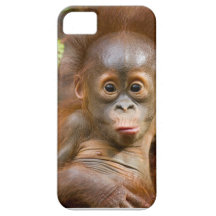 Banana phone iPhone 5 cover