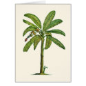 Banana Tree Pen and Ink cards