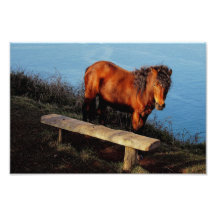 Banc proche .2. de Devon de côte de poney du sud d Photo D'art
