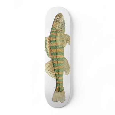 Banded Darter Skateboard by thomglace