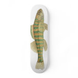 Banded Darter Skateboard