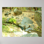 Bandelier National Monument Print