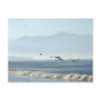 Banderas Bay with Pelicans Flying Postcards