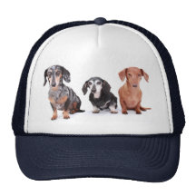bandit daisy rusty 1 mesh hats