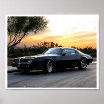 Bandit in the Arizona Sunset Print