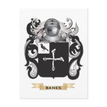 Banes Coat of Arms (Family Crest) Post Card
