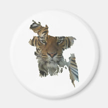 Bangladesch-Tiger Magnete