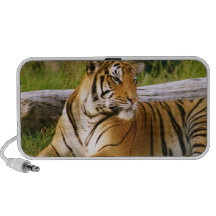 Bangle Tiger Travelling Speaker