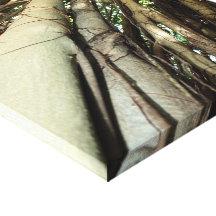 Banian Tree Impression Sur Toile
