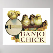 Banjo Chick Poster