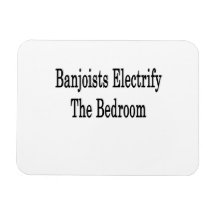 Banjoists Electrify The Bedroom Vinyl Magnet