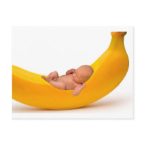 Banna Baby